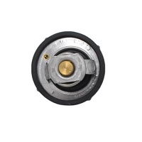 Ford Thermostat And O-ring Fiesta St WP-WQ Ws Focus Lw St
