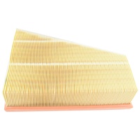 Ford Air Cleaner Filter Mondeo MA/MB/MC 2007-2014