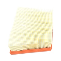 Ford Ws Wt Fiesta Air Filter Element 8V219601A1A