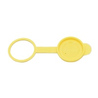 Ford BA BF FG Falcon + SX SY SZ Territory Windscreen Washer Bottle Cap