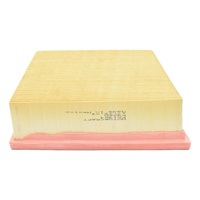 Ford Wt Fiesta Air Filter