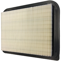 Ford BF Mk3 & FG Falcon Air Filter Element Egas Motor 3/2008-5/2011