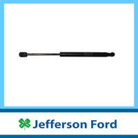Ford Boot Strut For FG Falcon