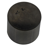 Ford Inlet Valve Tappet 3.100mm for Fiesta Focus