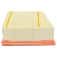 Ford Air Filter Element For Ecosport Bk Fiesta St Wz