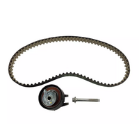 Ford Timing Belt & Tensioner For Territory SZ 2.7 V6 Lion Diesel