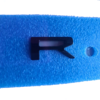 Ford Everest Bonnet Decal for Sports Series from 2022