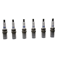 Ford Falcon BF LPG Gas Spark Plugs & Ignition CoiLS Kit (Set of 6)