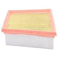 Ford Wt Fiesta Air Filter