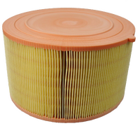Ford Air Filter Cleaner For Ranger PX 3.2L 2.2L Diesel 2.5L Petrol