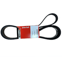 Ford Drive Belt Falcon BF FG FGMKII FGX Territory SX SY SZ 6cyl 4.0L
