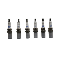 Ford Falcon BA & Territory Petrol Spark Plugs & Ignition CoiLS Kit (x6)