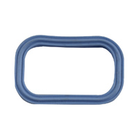 Ford Inlet Manifold Gaskets Pack of 10 for Ranger PX Everest UA 3.2L Diesel 2011-2022