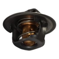 Falcon AU-FGX / Territory SX-SZ 6cyl 4.0L Thermostat