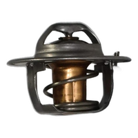 Falcon AU-FGX / Territory SX-SZ 6cyl 4.0L Thermostat