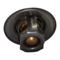 Falcon AU-FGX / Territory SX-SZ 6cyl 4.0L Thermostat