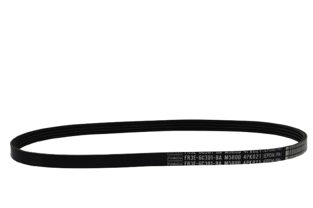 Genuine Ford Mustang CZG Drive Belt