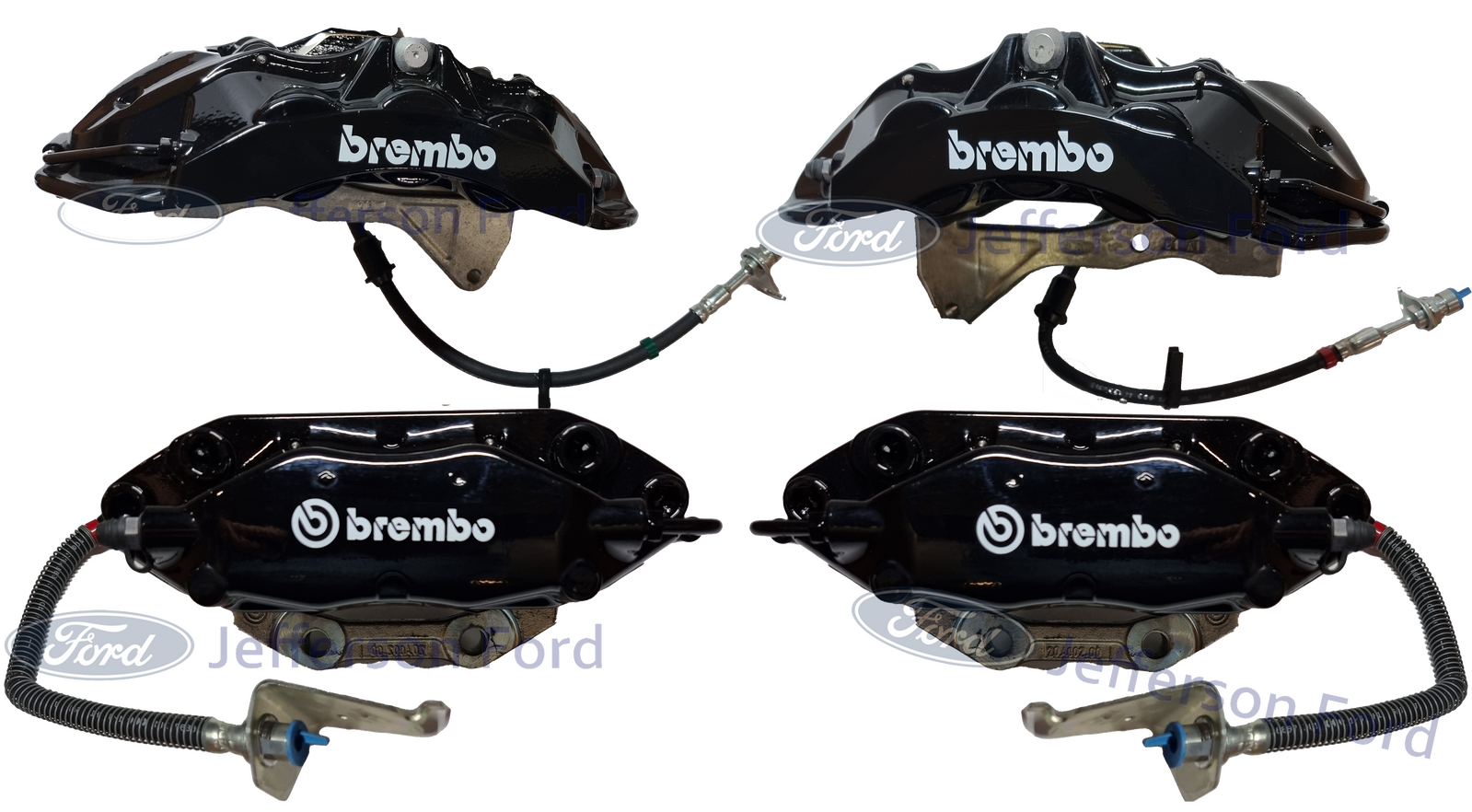 FORD FPV BLACK Brembo FG FGX FRONT & REAR brake caliper & Pad Set Ford
