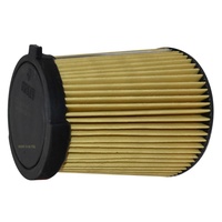 Ford Air Filter 5.0L Overhead Valve V8 For Falcon image