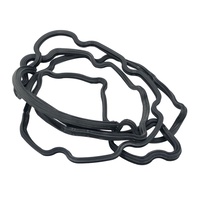Ford Oil Pan Gasket-Falcon Ba Bf Territory Sx Sy + Mk2 image