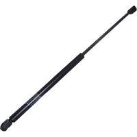 Ford Bonnet Strut R/H Side For Falcon FG MKII X & XR image