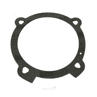Ford Falcon & Territory Water Pump Gasket image