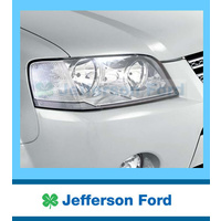 Ford Sx Sy Territory Head Lamp Covers Protectors Guards image