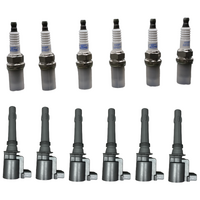 Ford Falcon BF LPG Gas Spark Plugs & Ignition CoiLS Kit (Set of 6) image