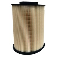 Ford Te Tf Kuga 2011-2016 A/Filter Element (Most Models image