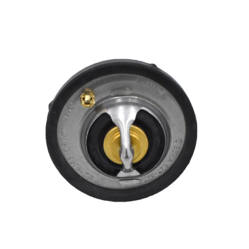 Ford Thermostat And O-ring Fiesta St WP-WQ Ws Focus Lw St