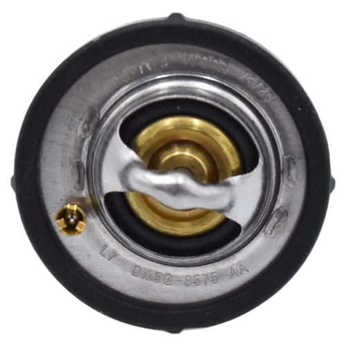 Ford Thermostat Assembly Ecosport Bk Fiesta Wt Wz MCa MKII 