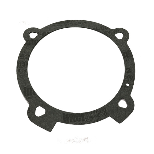 Ford Falcon & Territory Water Pump Gasket