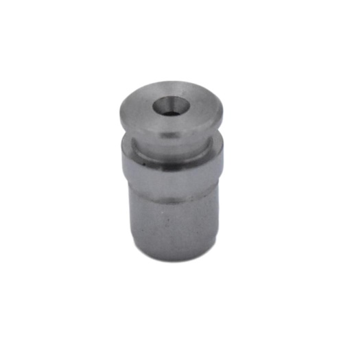 Ford Cylinder Block Oil Control Plug For Courier Pe Pg Diesel