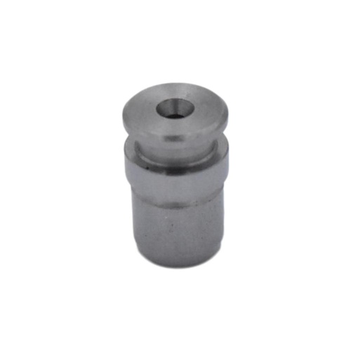 Ford  Cylinder Block Oil Control Plug For Courier Pe Pg Diesel