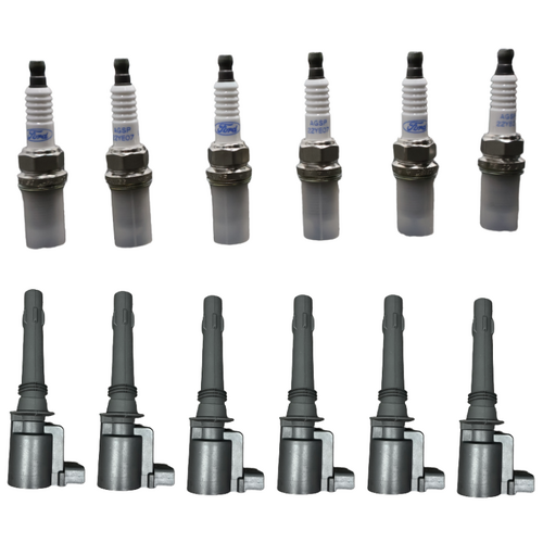 Ford Falcon BF LPG Gas Spark Plugs & Ignition CoiLS Kit (Set of 6)