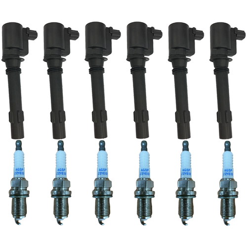 Ford Falcon BF & Territory Spark Plug & Ignition Coils Kit (Set of 6)