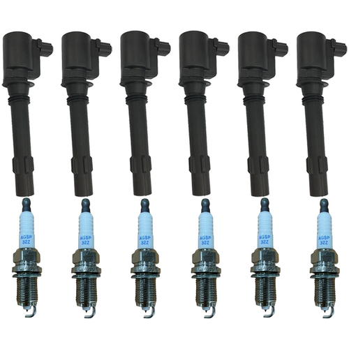 Ford Falcon BA & Territory Petrol Spark Plugs & Ignition Coils Kit (x6)